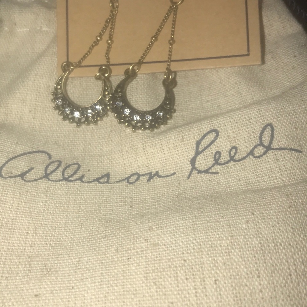Allison Reed rustic earring New
